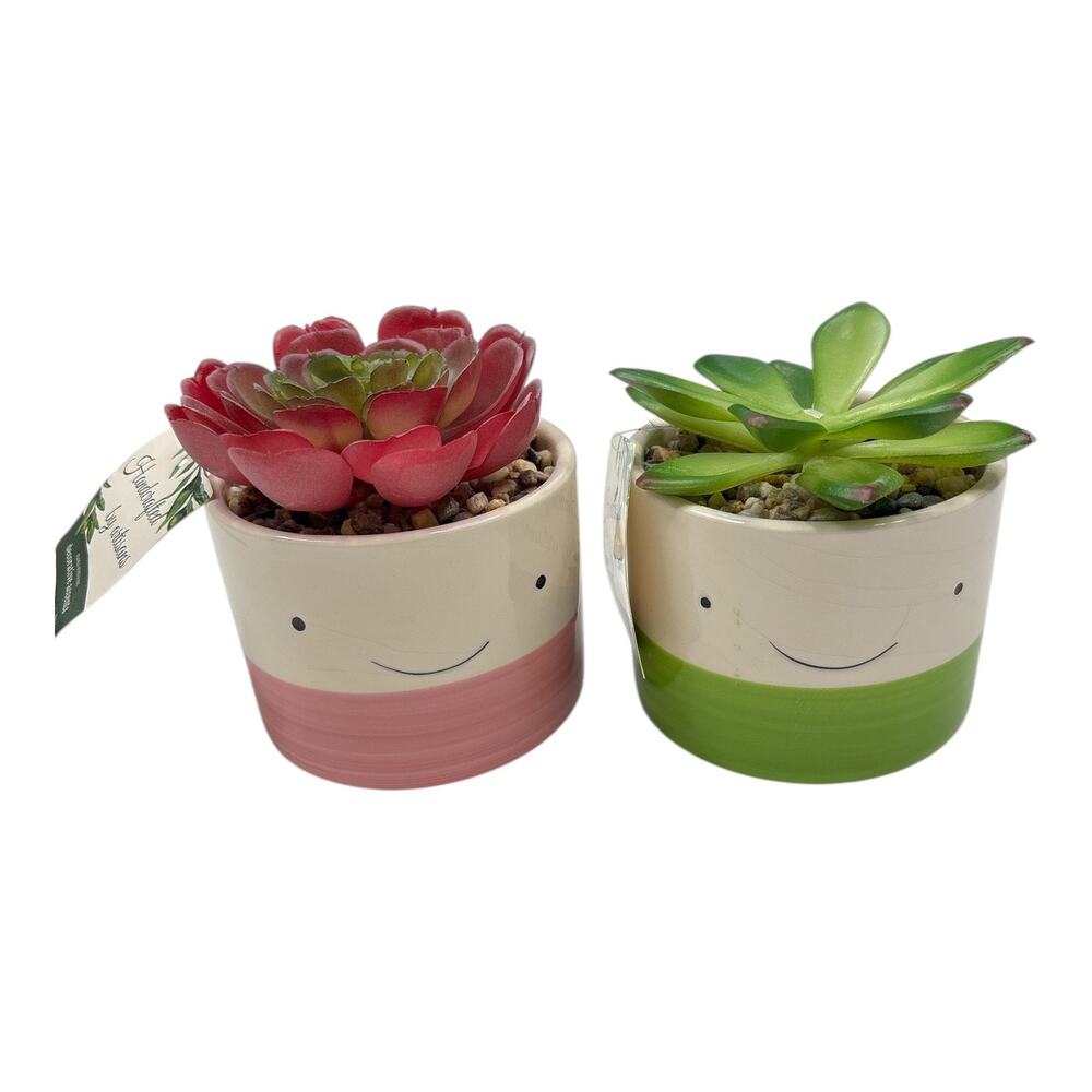 2 Flora Bunda Cutie Faces Porcelain Pot Artificial Succulent Home Decor Desktop